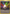 Multi Energy (103/112) [EX: FireRed & LeafGreen] - Card Brawlers | Quebec | Canada | Yu-Gi-Oh!