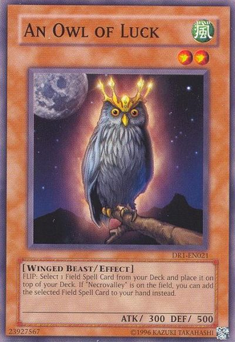 An Owl of Luck [DR1-EN021] Common - Card Brawlers | Quebec | Canada | Yu-Gi-Oh!