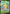 Leafeon V (007/203) [Prize Pack Series One] - Card Brawlers | Quebec | Canada | Yu-Gi-Oh!