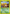 Shuckle (72/111) [Neo Genesis 1st Edition] - Card Brawlers | Quebec | Canada | Yu-Gi-Oh!