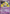 Jirachi ex (94/100) [EX: Crystal Guardians] - Card Brawlers | Quebec | Canada | Yu-Gi-Oh!
