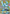White Kyurem GX (SM141) [Sun & Moon: Black Star Promos] - Card Brawlers | Quebec | Canada | Yu-Gi-Oh!