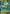 Celebi V (007/198) [Sword & Shield: Chilling Reign] - Card Brawlers | Quebec | Canada | Yu-Gi-Oh!