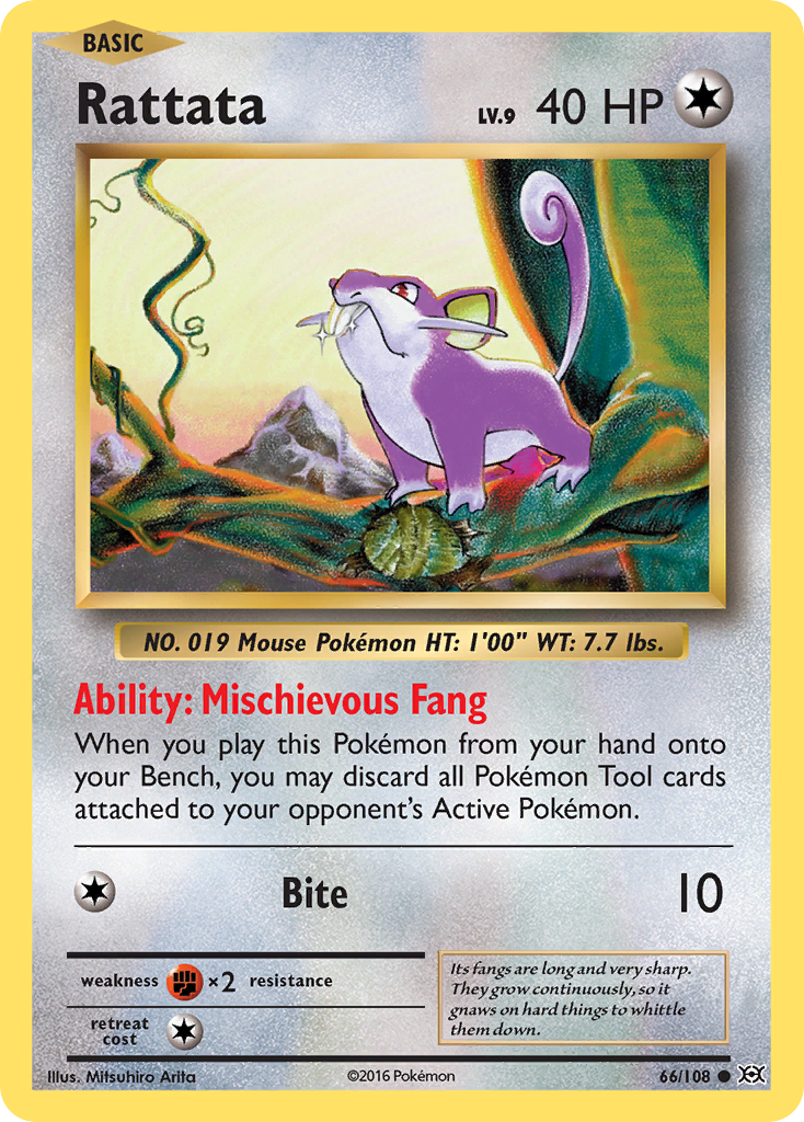 Rattata (66/108) [XY: Evolutions] - Card Brawlers | Quebec | Canada | Yu-Gi-Oh!