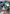 Celesteela GX (SM67) [Sun & Moon: Black Star Promos] - Card Brawlers | Quebec | Canada | Yu-Gi-Oh!