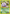 Koga's Koffing (79/132) [Gym Challenge 1st Edition] - Card Brawlers | Quebec | Canada | Yu-Gi-Oh!