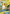 Raichu GX (29/73) [Sun & Moon: Shining Legends] - Card Brawlers | Quebec | Canada | Yu-Gi-Oh!