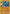 Lucario (SM95) (Staff Prerelease Promo) [Sun & Moon: Black Star Promos] - Card Brawlers | Quebec | Canada | Yu-Gi-Oh!