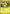 Pikachu (PW4) (Spanish) [Pikachu World Collection Promos] - Card Brawlers | Quebec | Canada | Yu-Gi-Oh!