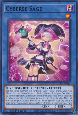 Cyberse Sage [CYAC-EN033] Common - Card Brawlers | Quebec | Canada | Yu-Gi-Oh!