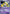 Jirachi ex (94/100) (Legendary Ascent - Tom Roos) [World Championships 2007] - Card Brawlers | Quebec | Canada | Yu-Gi-Oh!