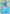 Popplio (65/214) [Sun & Moon: Lost Thunder] - Card Brawlers | Quebec | Canada | Yu-Gi-Oh!