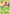 Hoppip (67/123) [HeartGold & SoulSilver: Base Set] - Card Brawlers | Quebec | Canada | Yu-Gi-Oh!