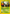 Beedrill (5/144) [Skyridge] - Card Brawlers | Quebec | Canada | Yu-Gi-Oh!