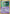 Ralts (60/101) (Stamped) [EX: Dragon Frontiers] - Card Brawlers | Quebec | Canada | Yu-Gi-Oh!