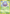 Koffing (62/107) [EX: Deoxys] - Card Brawlers | Quebec | Canada | Yu-Gi-Oh!