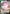 Blissey V (119/198) [Prize Pack Series One] - Card Brawlers | Quebec | Canada | Yu-Gi-Oh!