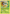Chesnaught (14/146) [XY: Base Set] - Card Brawlers | Quebec | Canada | Yu-Gi-Oh!