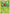 Grovyle (27/30) [XY: Trainer Kit 2 - Latias] - Card Brawlers | Quebec | Canada | Yu-Gi-Oh!