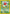 Hoppip (55/75) [Neo Discovery Unlimited] - Card Brawlers | Quebec | Canada | Yu-Gi-Oh!