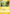 Electrike (47/106) [EX: Emerald] - Card Brawlers | Quebec | Canada | Yu-Gi-Oh!