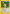 Ampharos (1/64) [Neo Revelation 1st Edition] - Card Brawlers | Quebec | Canada | Yu-Gi-Oh!