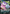 Galarian Slowbro V (099/189) [Sword & Shield: Darkness Ablaze] - Card Brawlers | Quebec | Canada | Yu-Gi-Oh!